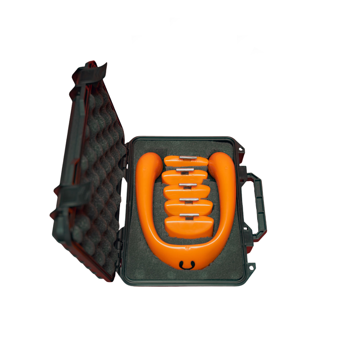 Lobster Weight Hard Case