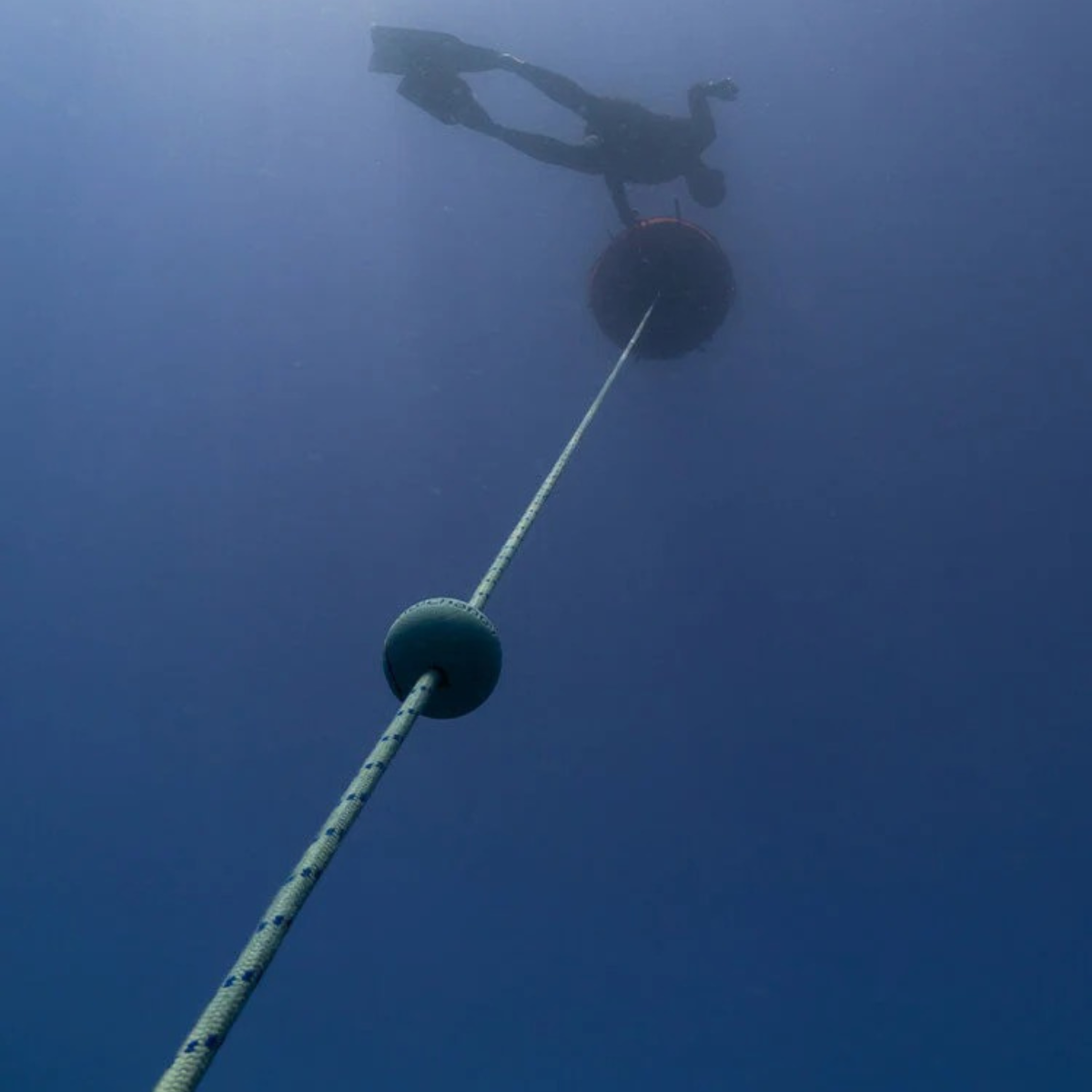 Freediving Rope
