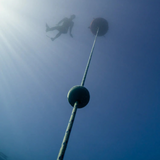 Lanyard Safety Stopper