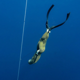 PRO Hyper Bifins X Fiberglass