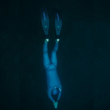 SPORT Bifins 3 Carbon