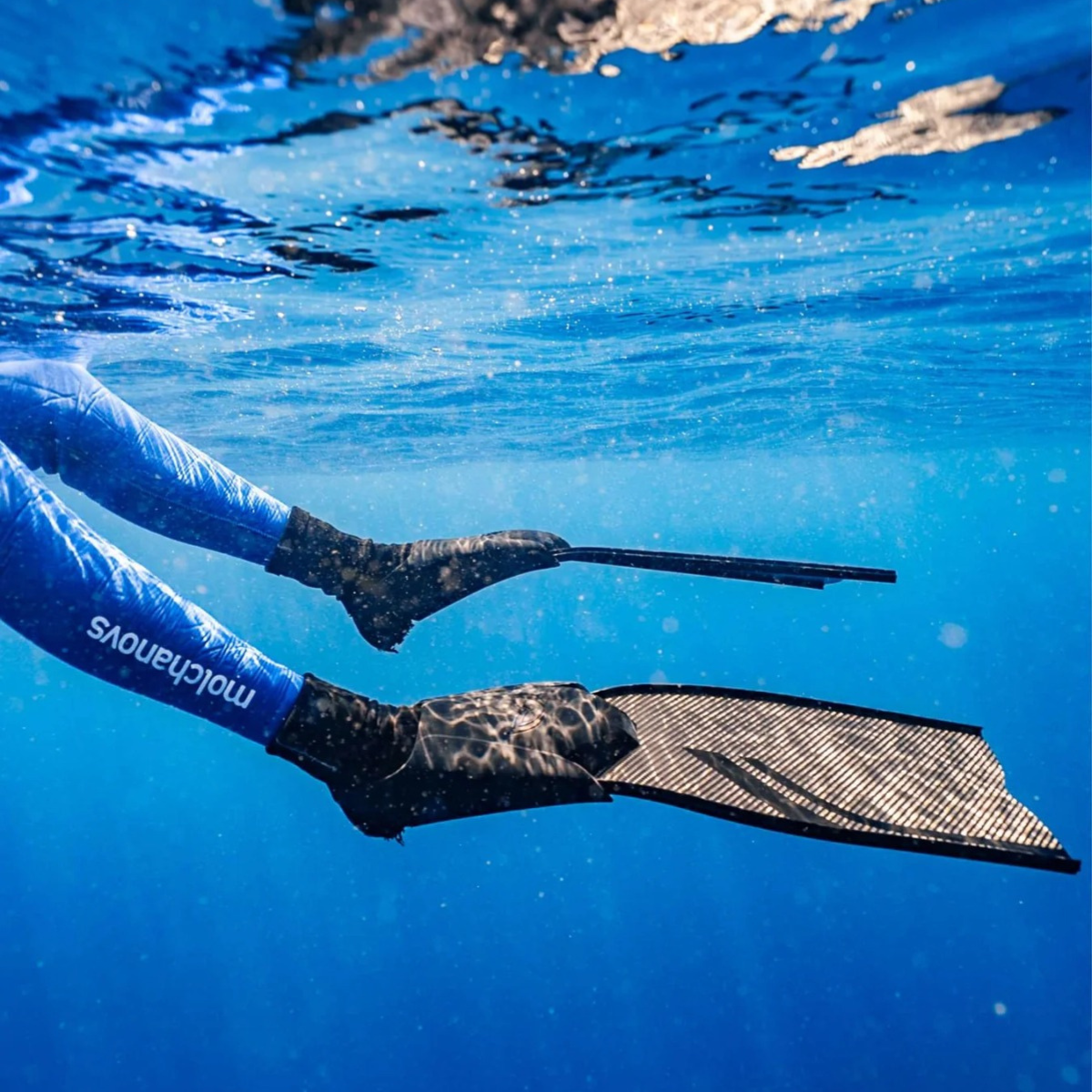 SPORT Short Bifins 3 Carbon