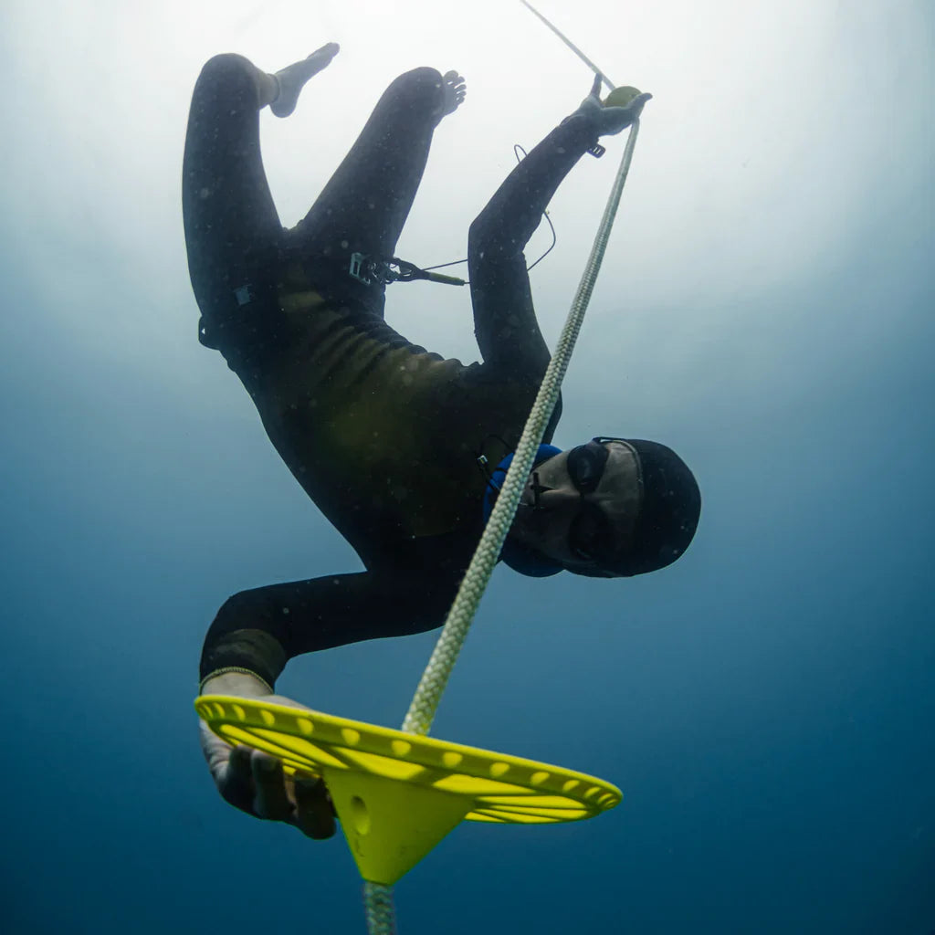 Octopus Bottom Plate