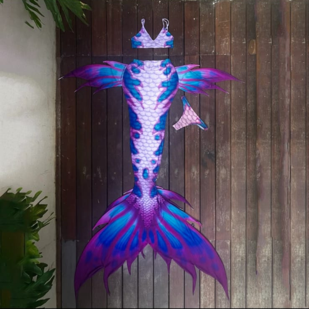 Mermaid Tail Aurora