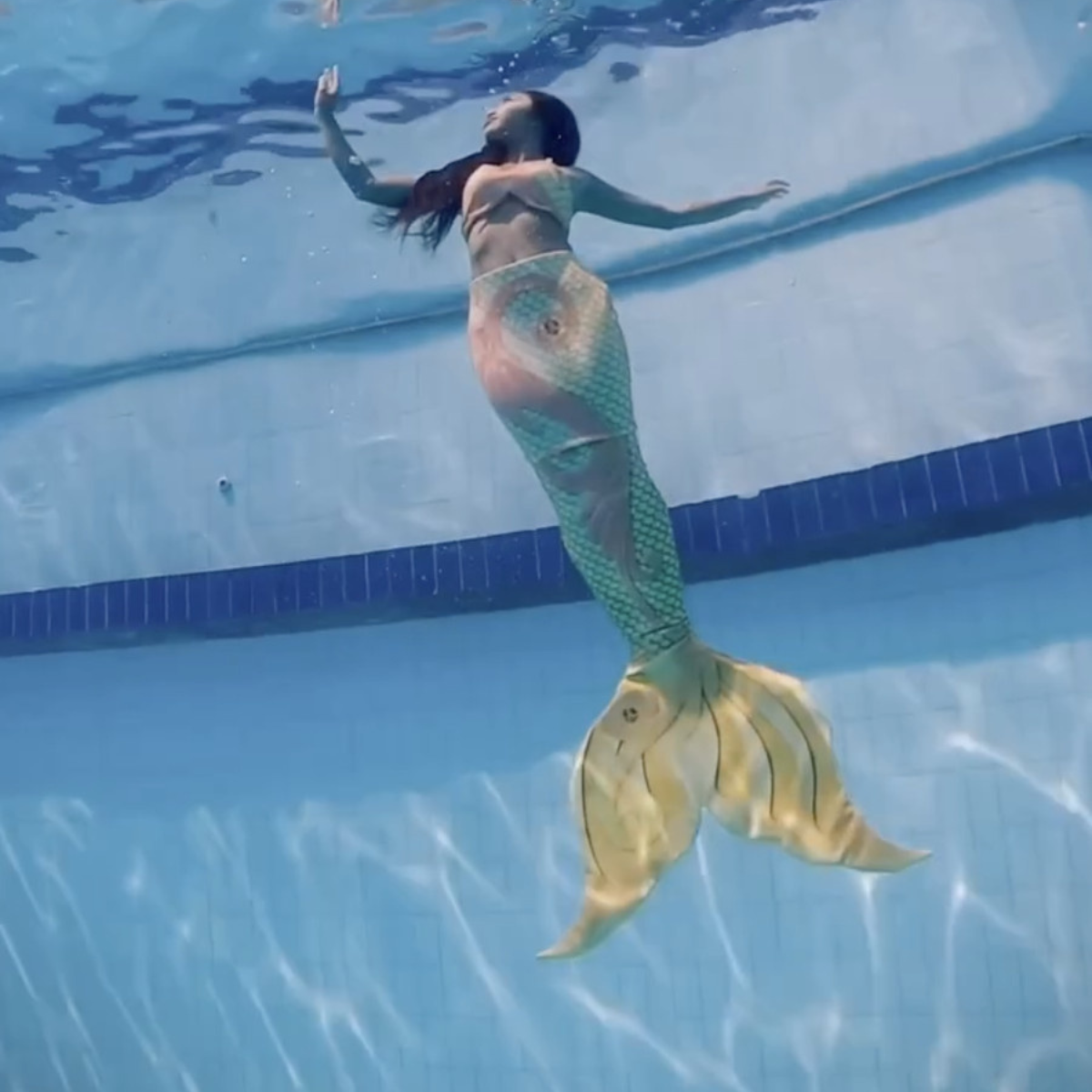 Mermaid Tail Barbie Fairytopia