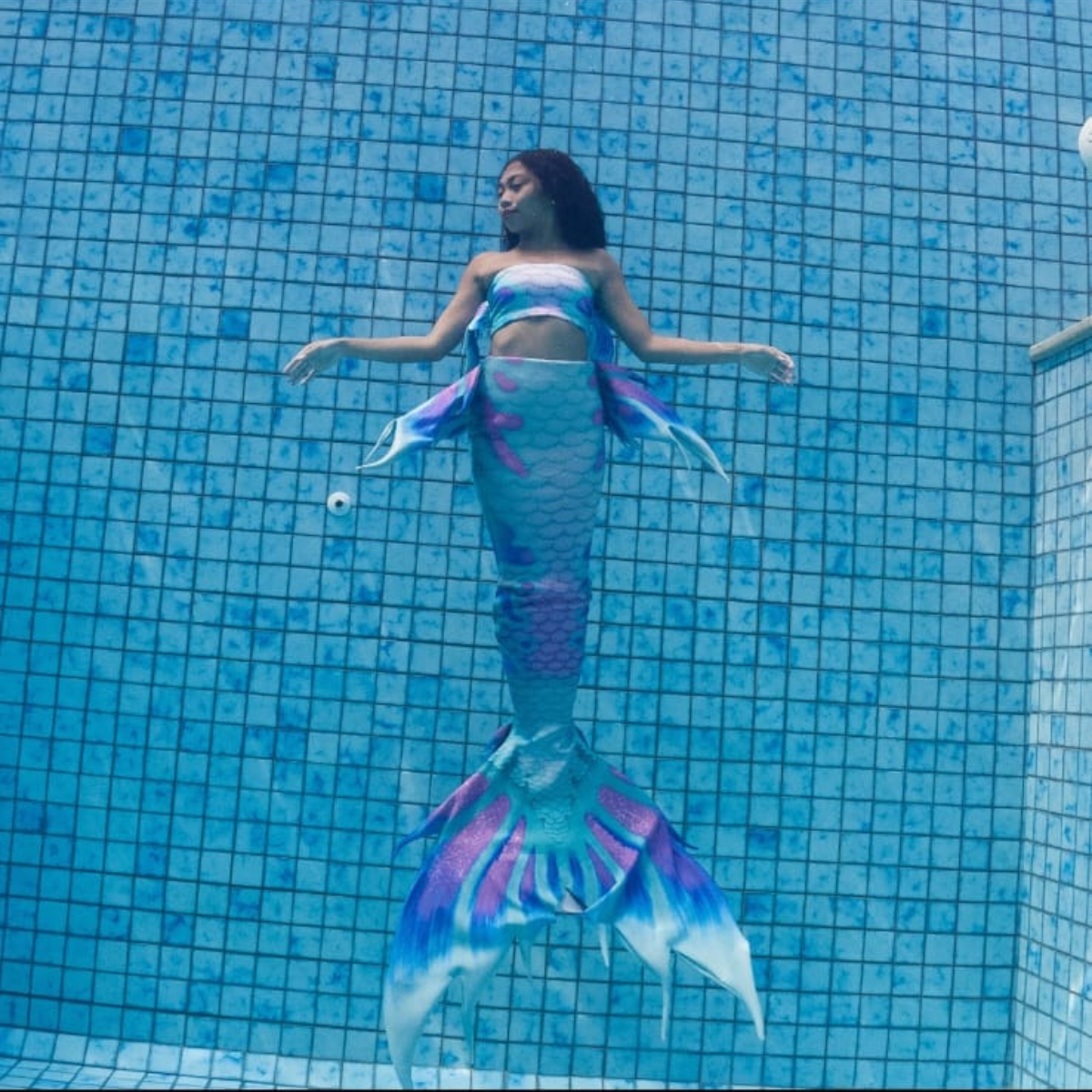 Mermaid Tail Pegasus