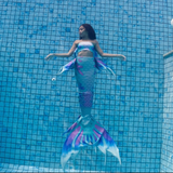 Mermaid Tail Pegasus