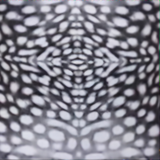 Whale Shark Series Bikini Backless Wetsuit