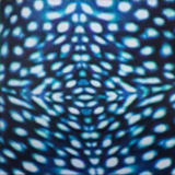 Whale Shark Series Bikini Backless Wetsuit